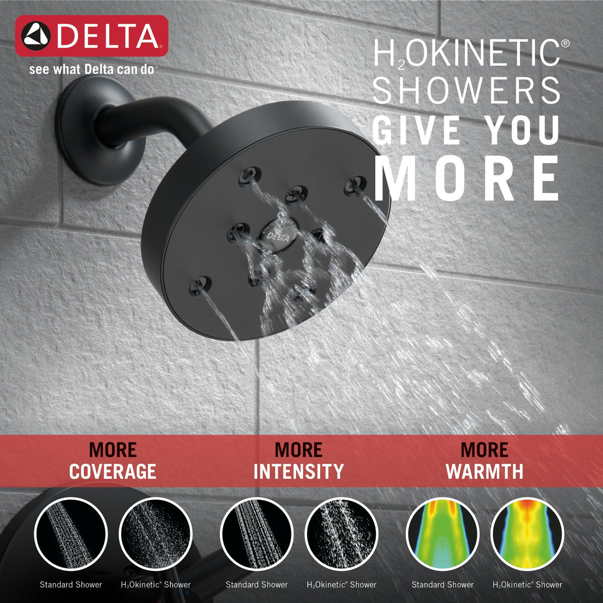 Delta Trinsic Matte Black 1-Handle Shower Faucet
