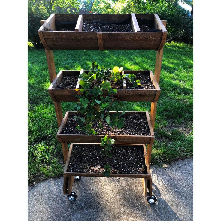 3 in. Vacant Twin Wheel Caster with Brake 121 lbs. Load Capacity