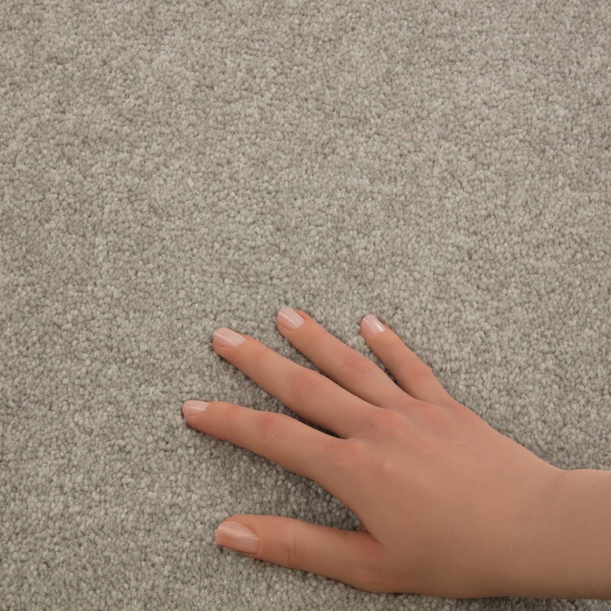 STAINMASTER Essentials Blue Diamonds II 12-ft Greige Textured Indoor Carpet
