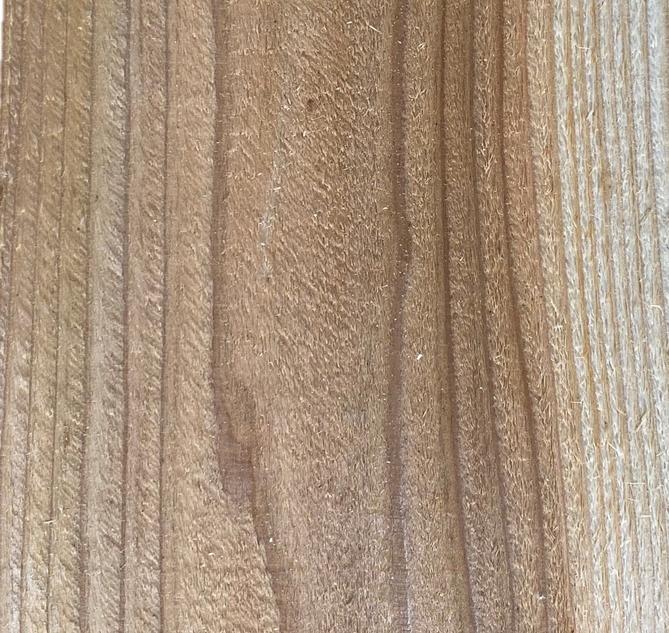 19/32-in x 5-1/2-in x 6-ft Cedar Dog Ear Fence Picket