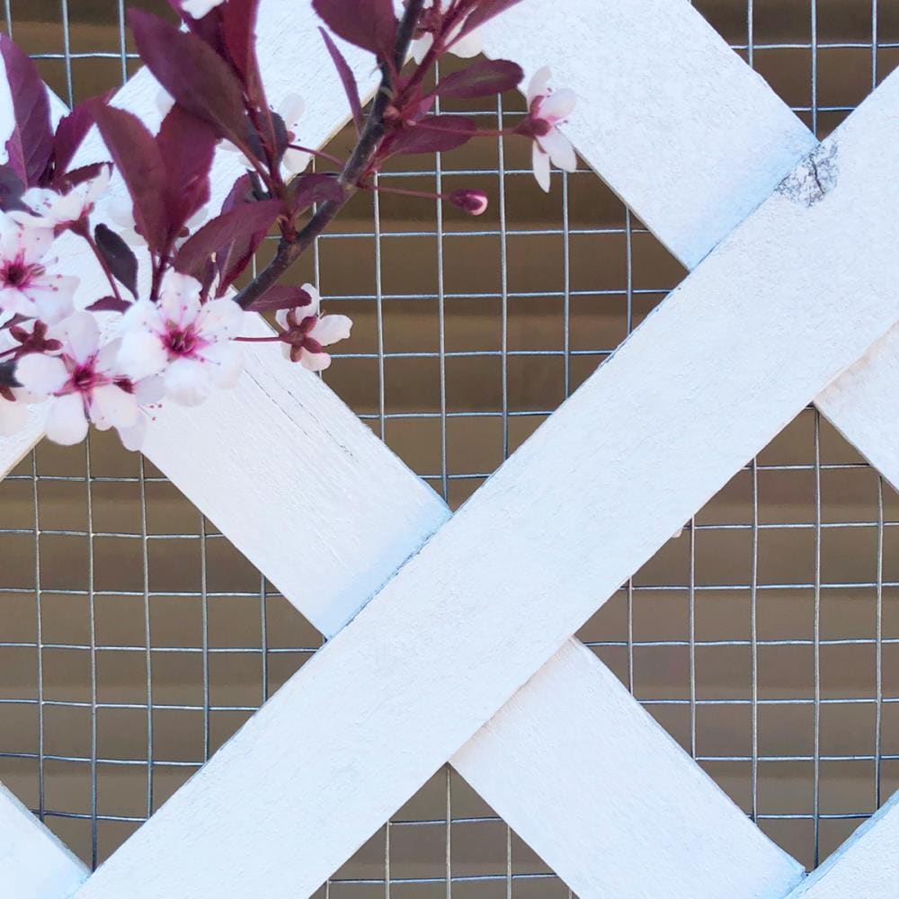 GARDEN CRAFT Gray Galvanized Steel Hardware Cloth Rolled Fencing with Mesh Size 1/2-in x 1/2-in