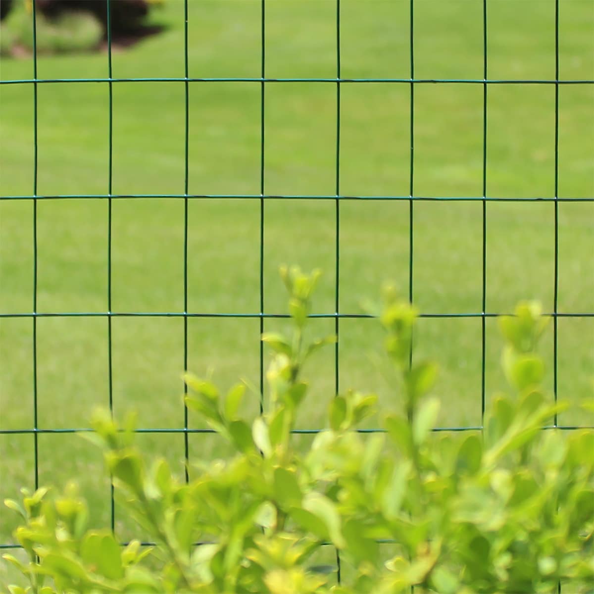 Garden Craft Green PVC Coated Steel Welded Wire Fencing, 50ft x 3ft