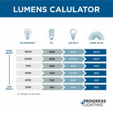 Progress Lighting Gibbes Street 3-Light Black Traditional Clear Glass Lantern Mini Outdoor Hanging Pendant Light