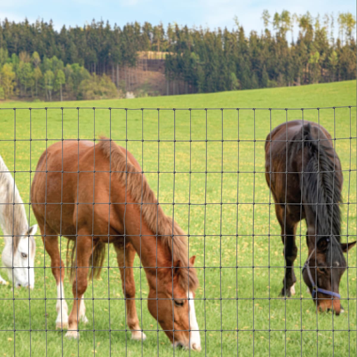 IRONRIDGE 100-ft x 4-ft Galvanized Steel Woven Wire Fence