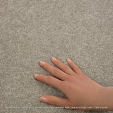 STAINMASTER Essentials Blue Diamonds II 12-ft Concrete Textured Indoor Carpet