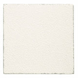 Armstrong Ceilings Lumawash White Mineral Fiber Drop Ceiling Tile Sample