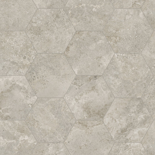 Satori Cosmo Argento 8-in x 10-in Matte Porcelain Hexagon Floor and Wall Tile (0.44-sq. ft/ Piece)