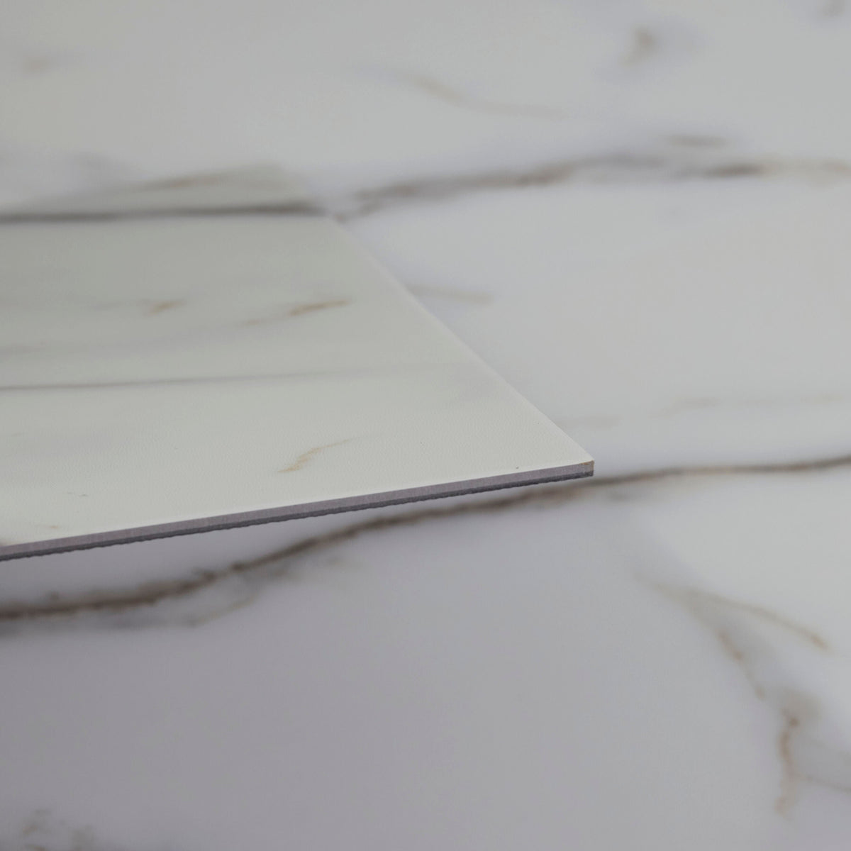 Lucida USA Gluecore Whitstone White 22-mil x 12-in W x 24-in L Waterproof Glue Down Luxury Vinyl Plank Flooring (36-sq ft/ Carton)