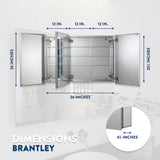 Croydex 36-in x 26-in Surface/Recessed Mount Silver Mirrored Soft Close Medicine Cabinet