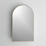 18-in x 30-in Surface Mount Gold Mirrored Arched Medicine Cabinet