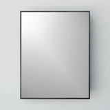 22-in x 28-in Surface Mount Black Mirrored Medicine Cabinet