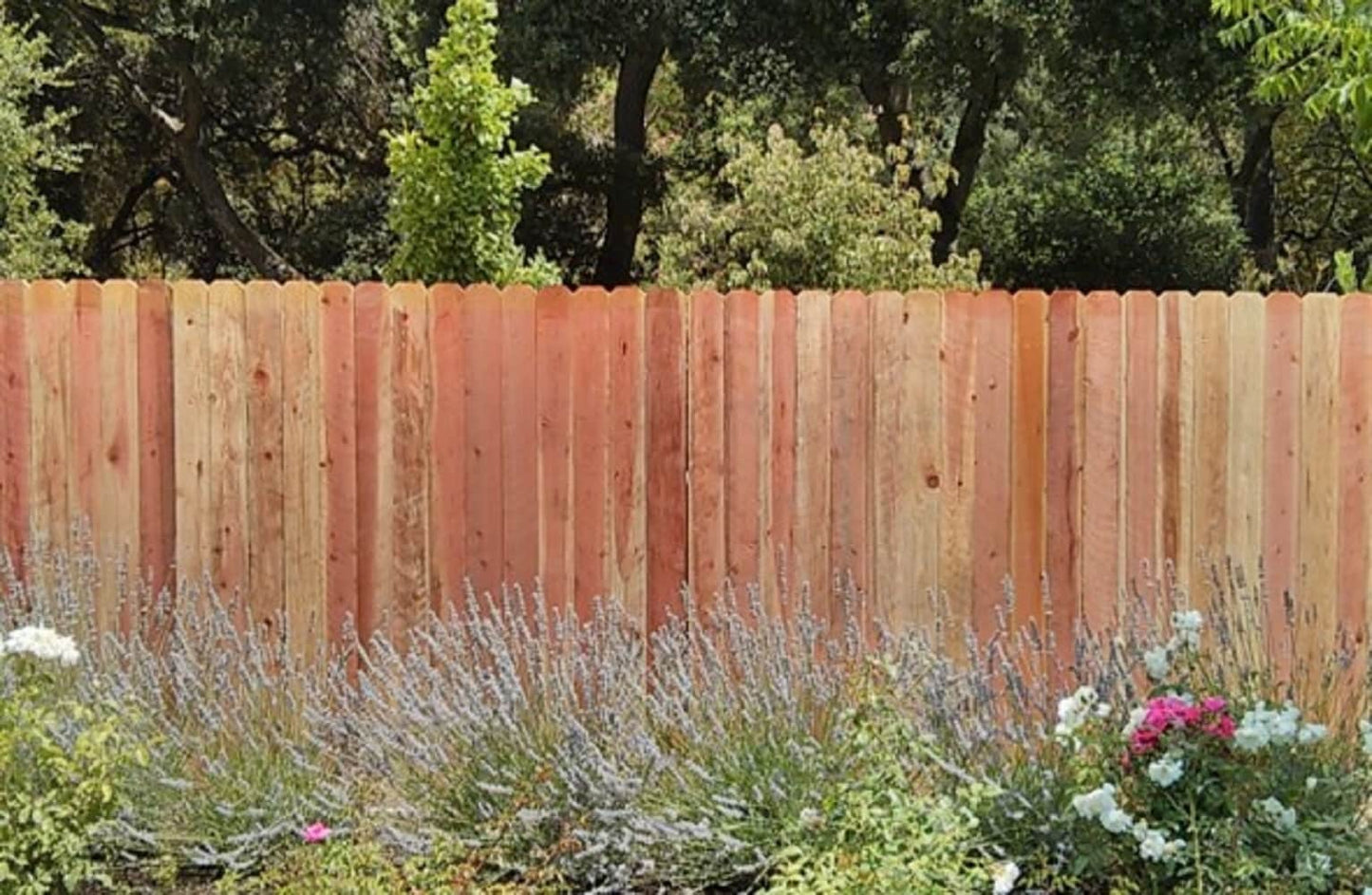5/8-in x 3-1/2-in x 6-ft Redwood Dog Ear Fence Picket