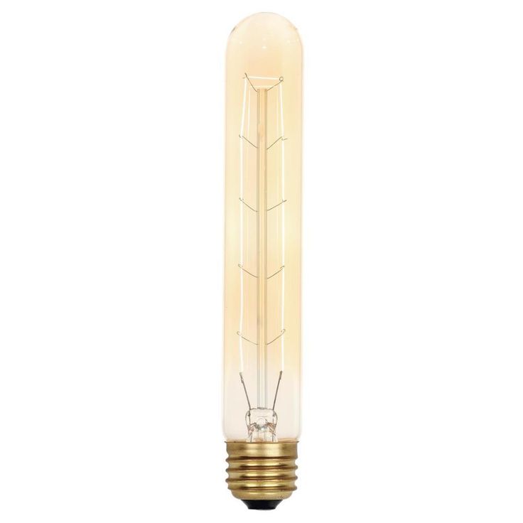 Westinghouse 40-Watt T9 Timeless Vintage Inspired Incandescent Light Bulb