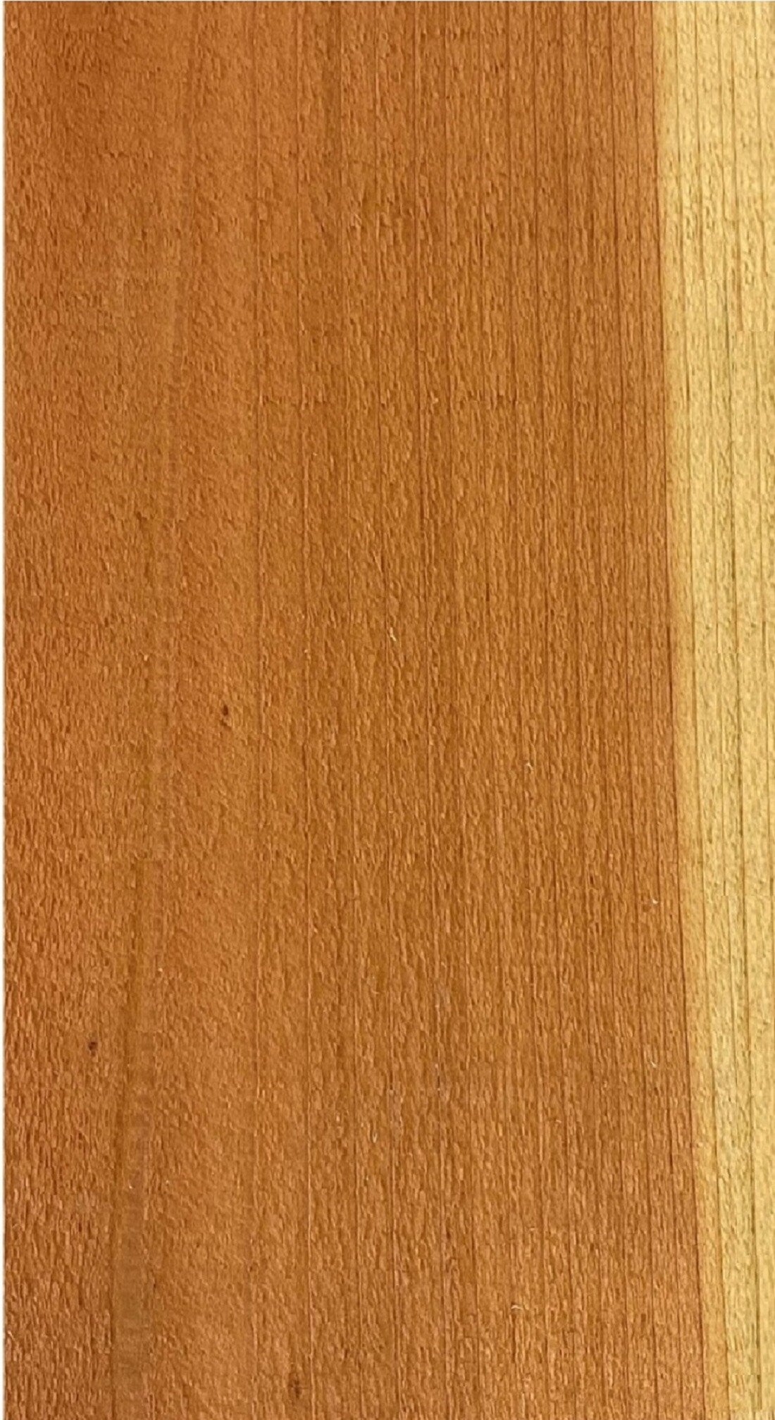 3/4-in x 7-1/2-in x 5-ft Redwood Dog Ear Fence Picket