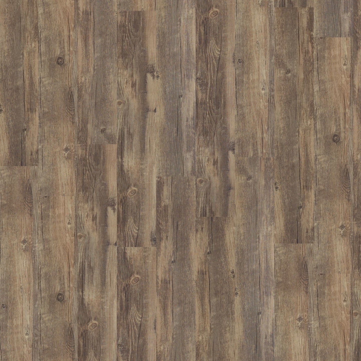 Shaw Perennial Spur 6-in Wide x 2-mm Thick Waterproof Luxury Vinyl Plank Flooring (53.93-sq ft)