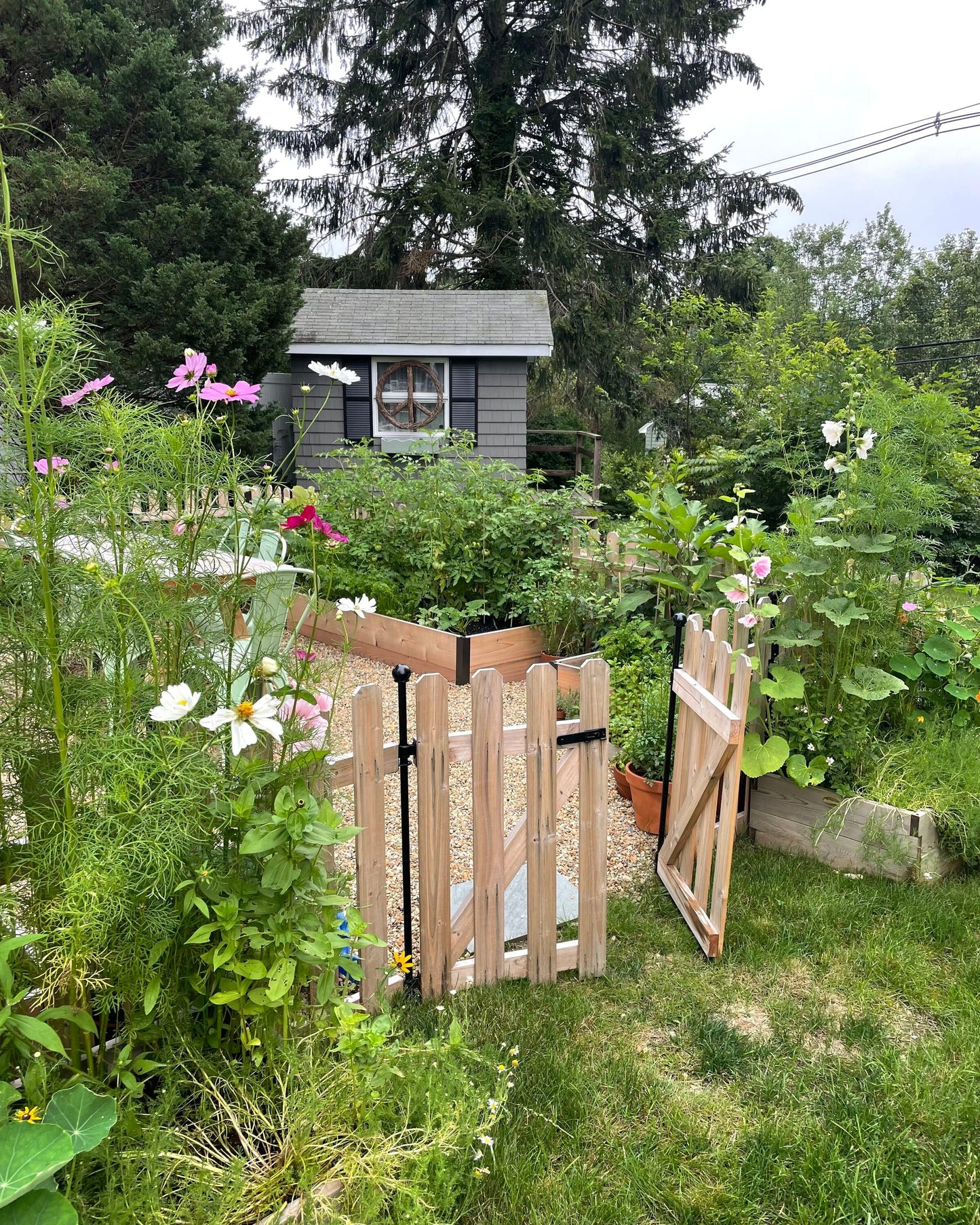 YARDLINK 2.83-ft x 3.79-ft Cedar Dog Ear Spaced Picket No Dig Fence Panel