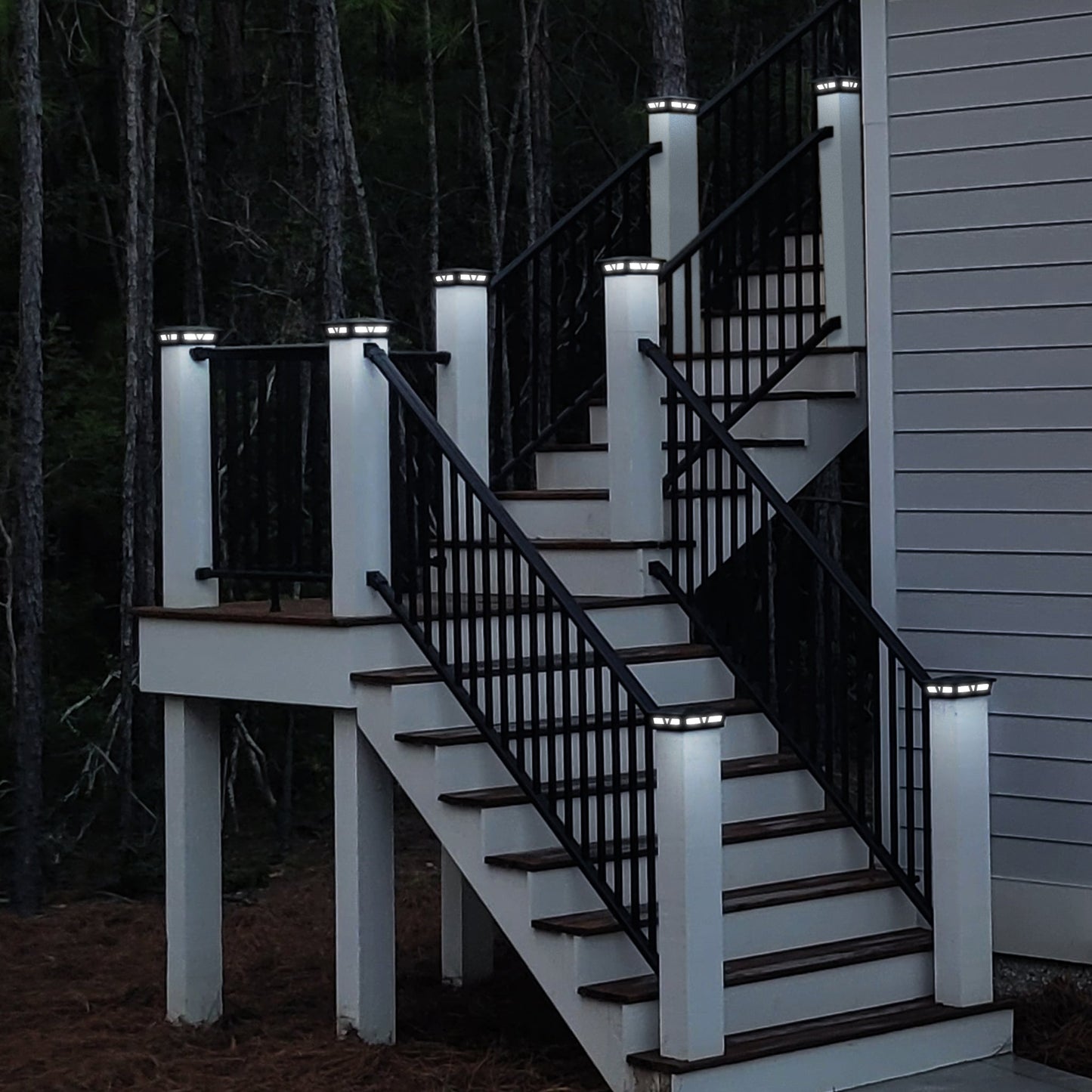 Classy Caps 5-in x 5-in 10-Lumen 1-Watt Black Powder Coated Aluminum Solar LED Outdoor Post Cap Light (4500 K)
