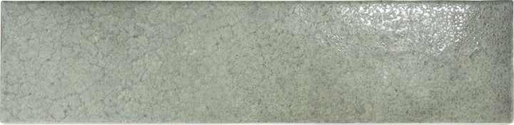 Affinity Tile Heritage Jungle 2-in x 10-in Multi-finish Porcelain Floor and Wall Tile product image