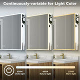 WELLFOR ELIN 36-in x 30-in Lighted LED Fog Free Surface/Recessed Mount Silver Mirrored Soft Close Medicine Cabinet with Outlet