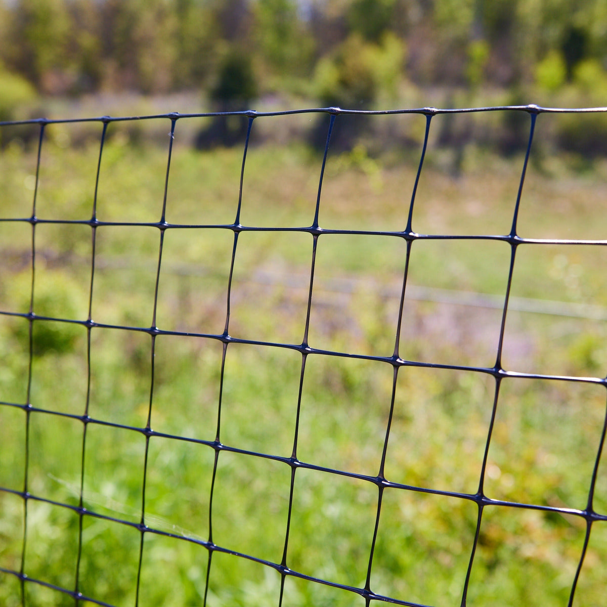 Tenax 200-ft x 5-ft Black Plastic Extruded Mesh Rolled Fencing with Mesh Size 2-in x 2-in