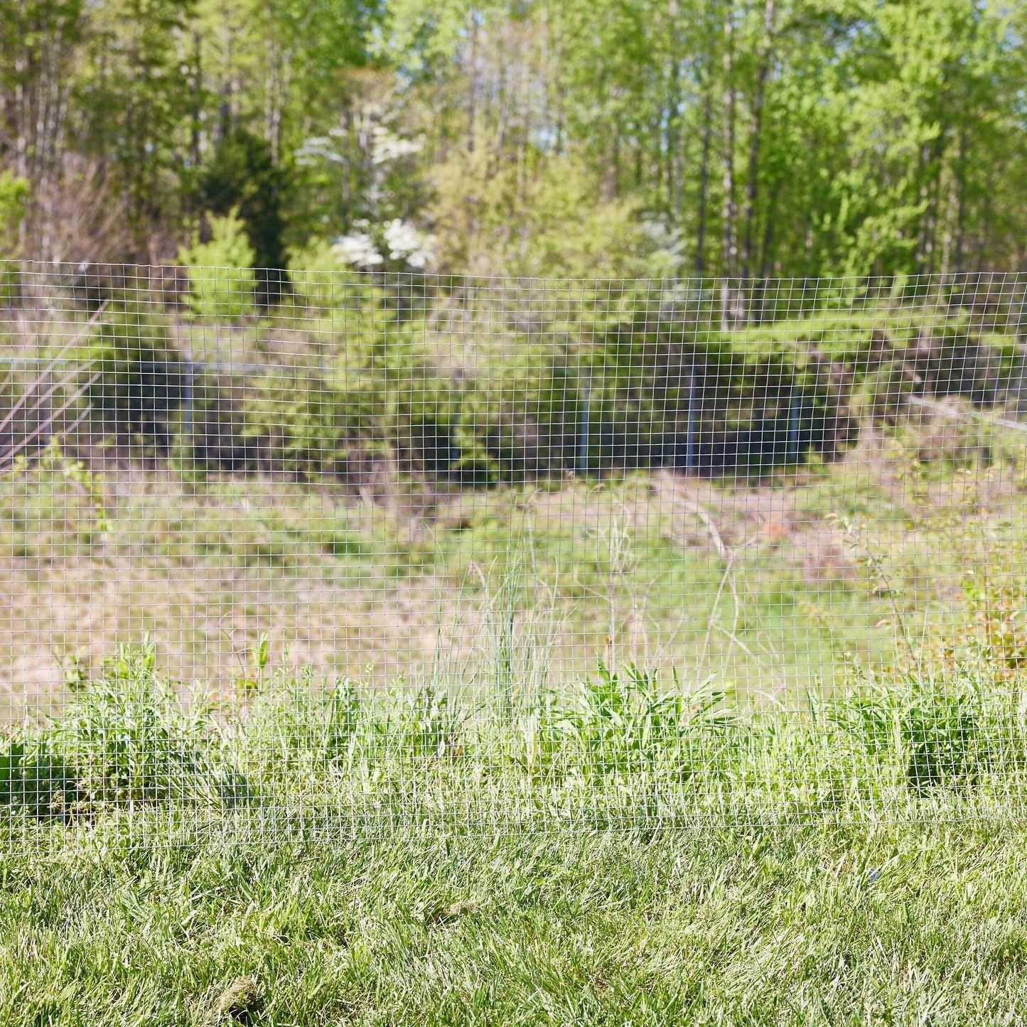 Acorn International 100-ft x 2-ft 16-Gauge Rolled Fencing with Mesh Size 1-in x 1-in