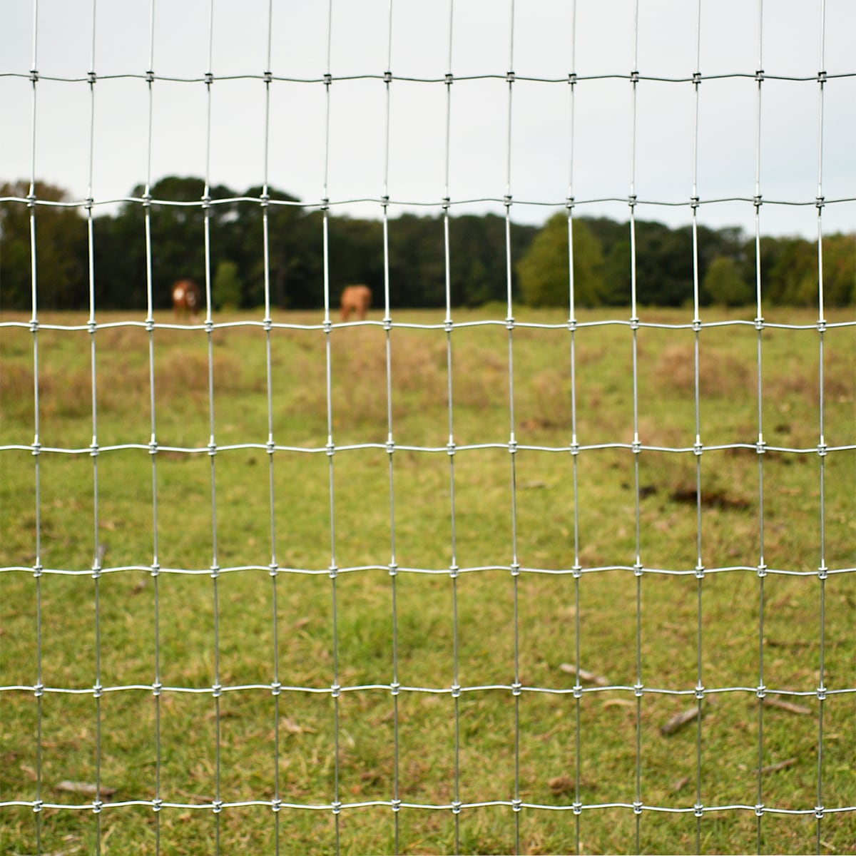 IRONRIDGE 100-ft x 4-ft Galvanized Steel Woven Wire Fence