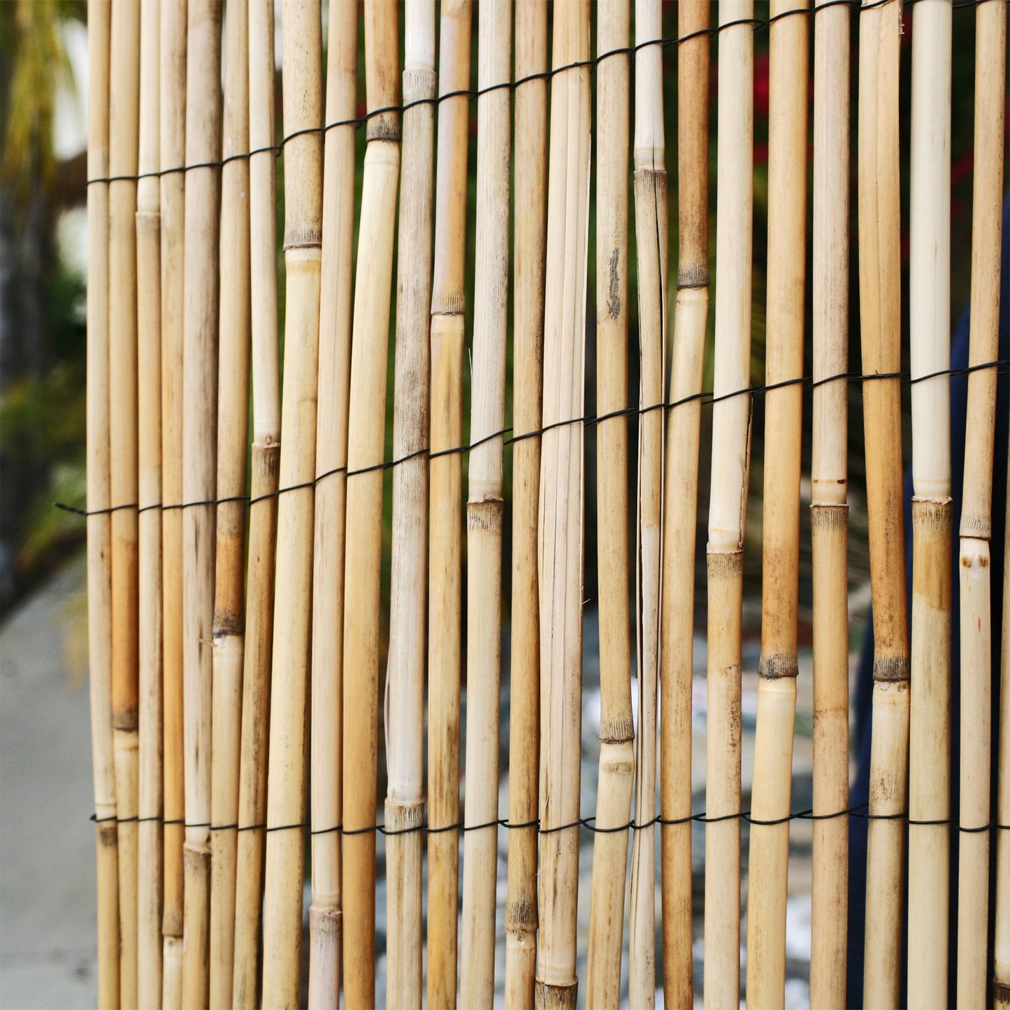 Backyard X-Scapes 4-ft x 8-ft Bamboo No Dig Fence Panel