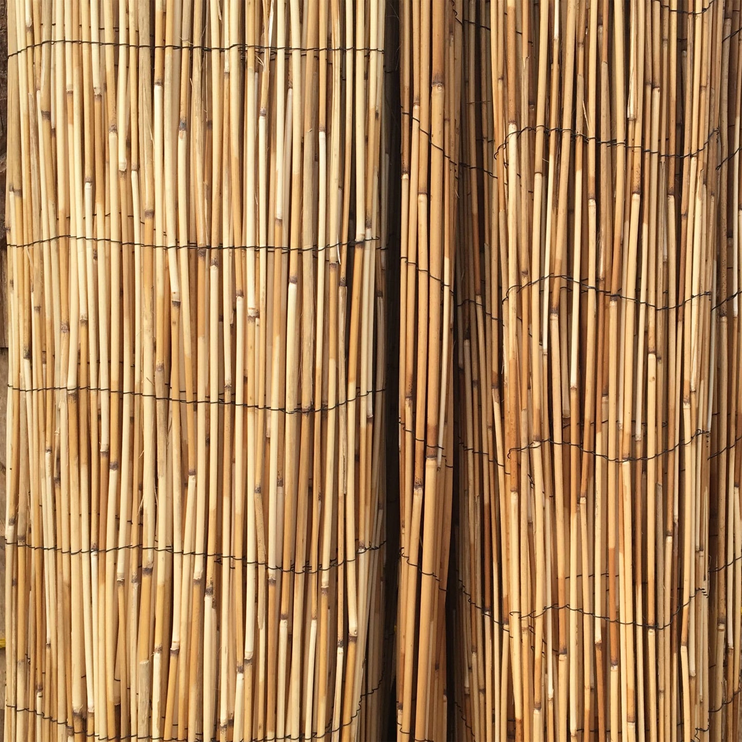 Backyard X-Scapes 16-ft x 6-ft 0.75-Gauge Brown Wood Bamboo Fencing Rolled Fencing