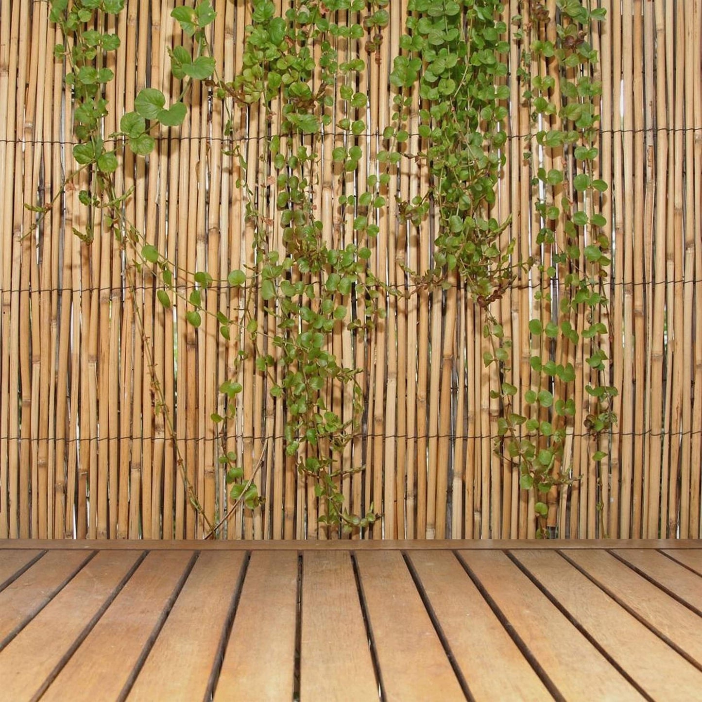 Backyard X-Scapes 6-ft x 16-ft Bamboo Semi-privacy No Dig Fence Panel