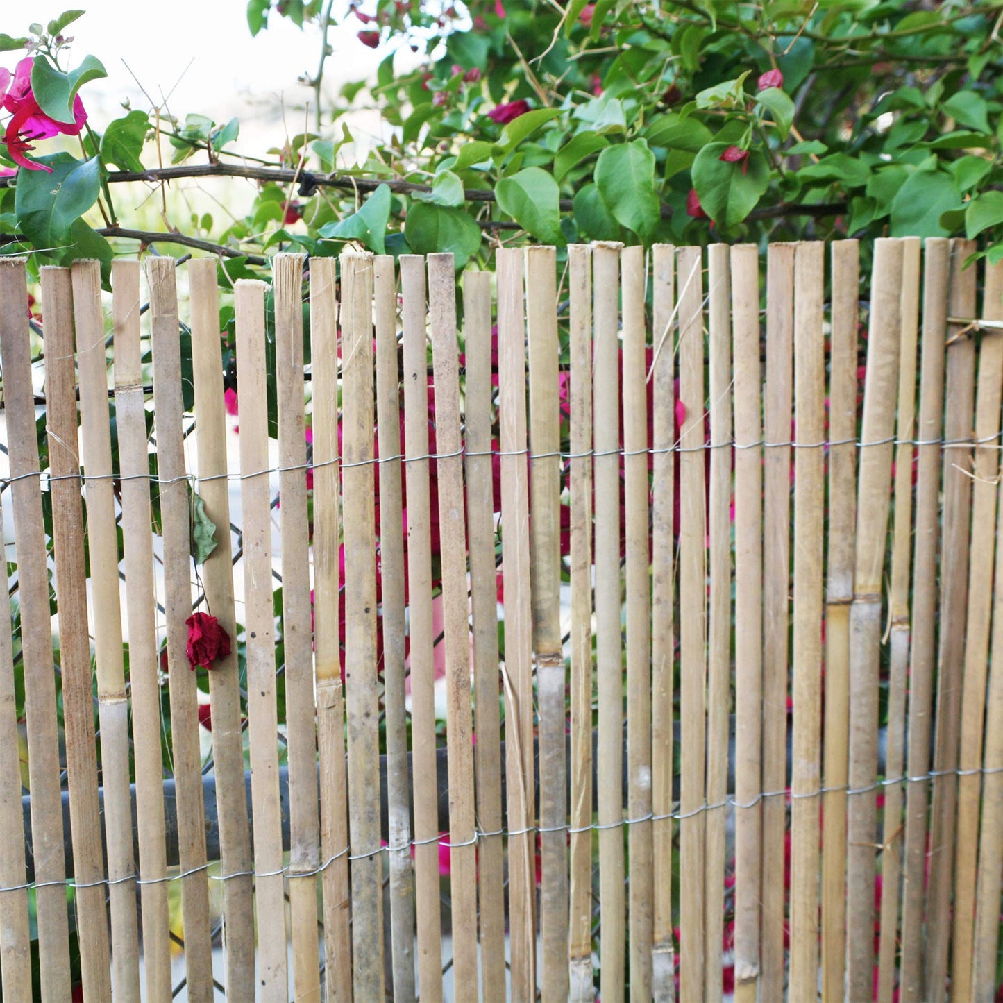 Backyard X-Scapes 6-ft x 16-ft Bamboo No Dig Fence Panel