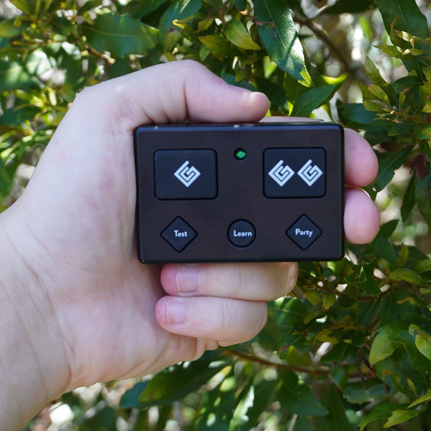 Ghost Controls Premium 5 Button Remote Transmitter