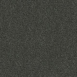 636738623732xl_1848314337.jpg