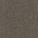 636738623787xl_-1239664870.jpg