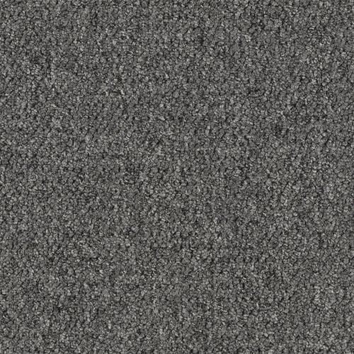 636738623831xl_-1067775519.jpg