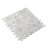 Apollo Tile Athens White 11-in x 12-in Polished Natural Stone Marble Circular Marble Look Floor and Wall Tile (4.51-sq. ft/ Carton)