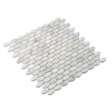Apollo Tile (Sample) Athens White 4-in x 4-in Polished Marble Circular Mosaic Wall Tile