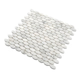 Apollo Tile (Sample) Athens White 4-in x 4-in Polished Marble Circular Mosaic Wall Tile