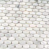 Apollo Tile (Sample) Athens White 4-in x 4-in Polished Marble Circular Mosaic Wall Tile