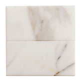 Apollo Tile (Sample) Floor and Wall Tile White 3-in x 6-in Honed Marble Subway Floor and Wall Tile