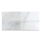 Apollo Tile (Sample) Floor and Wall Tile White 3-in x 6-in Polished Marble Subway Floor and Wall Tile