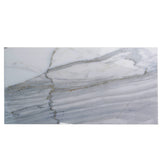 Apollo Tile (Sample) Floor and Wall Tile White and Gray 4-in x 4-in Honed Marble Subway Floor and Wall Tile