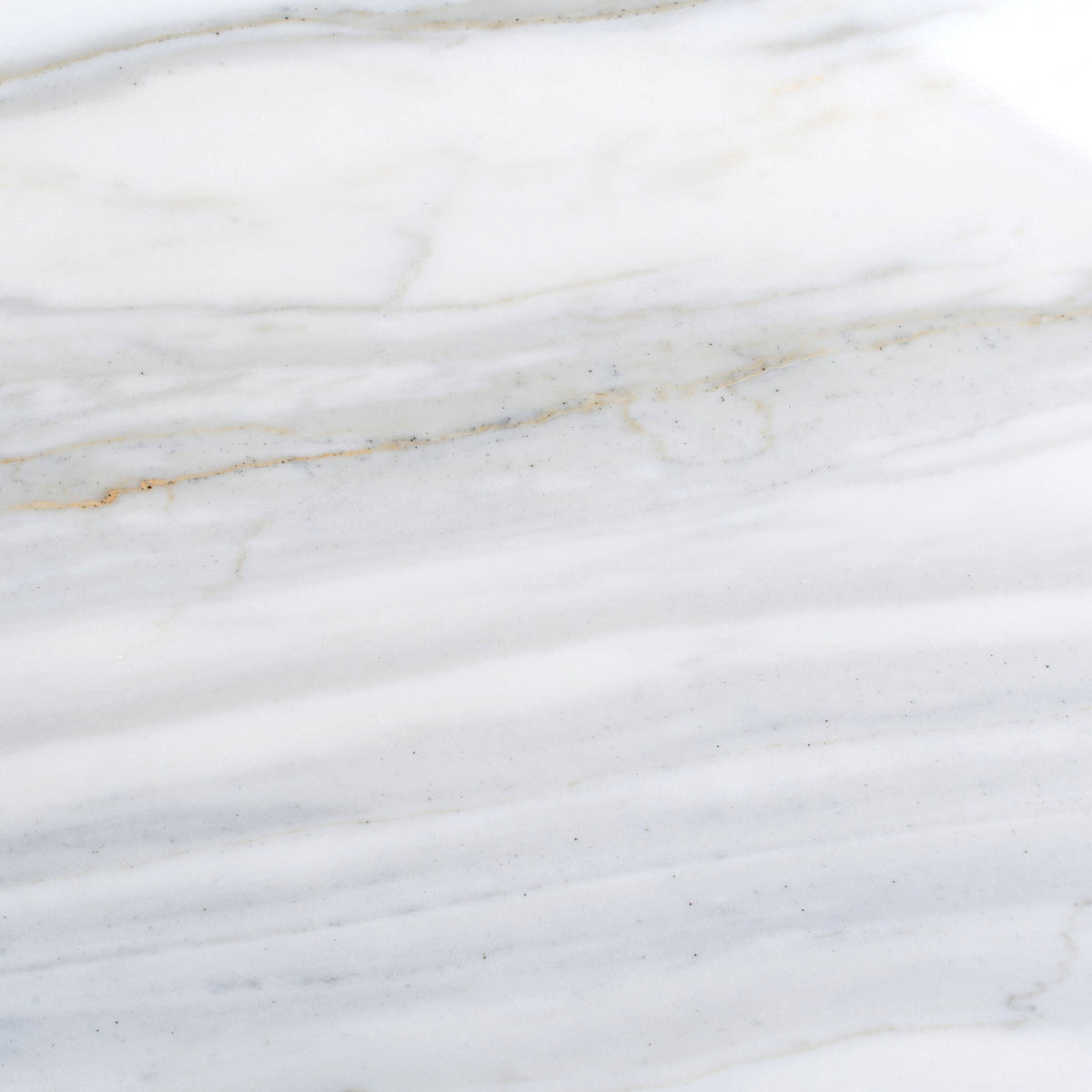 Apollo Tile (Sample) Floor and Wall Tile White and Gray 4-in x 4-in Honed Marble Subway Floor and Wall Tile