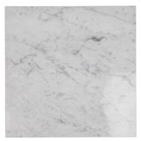 Apollo Tile (Sample) Wall White 4-in x 4-in Polished Marble Look Wall Tile