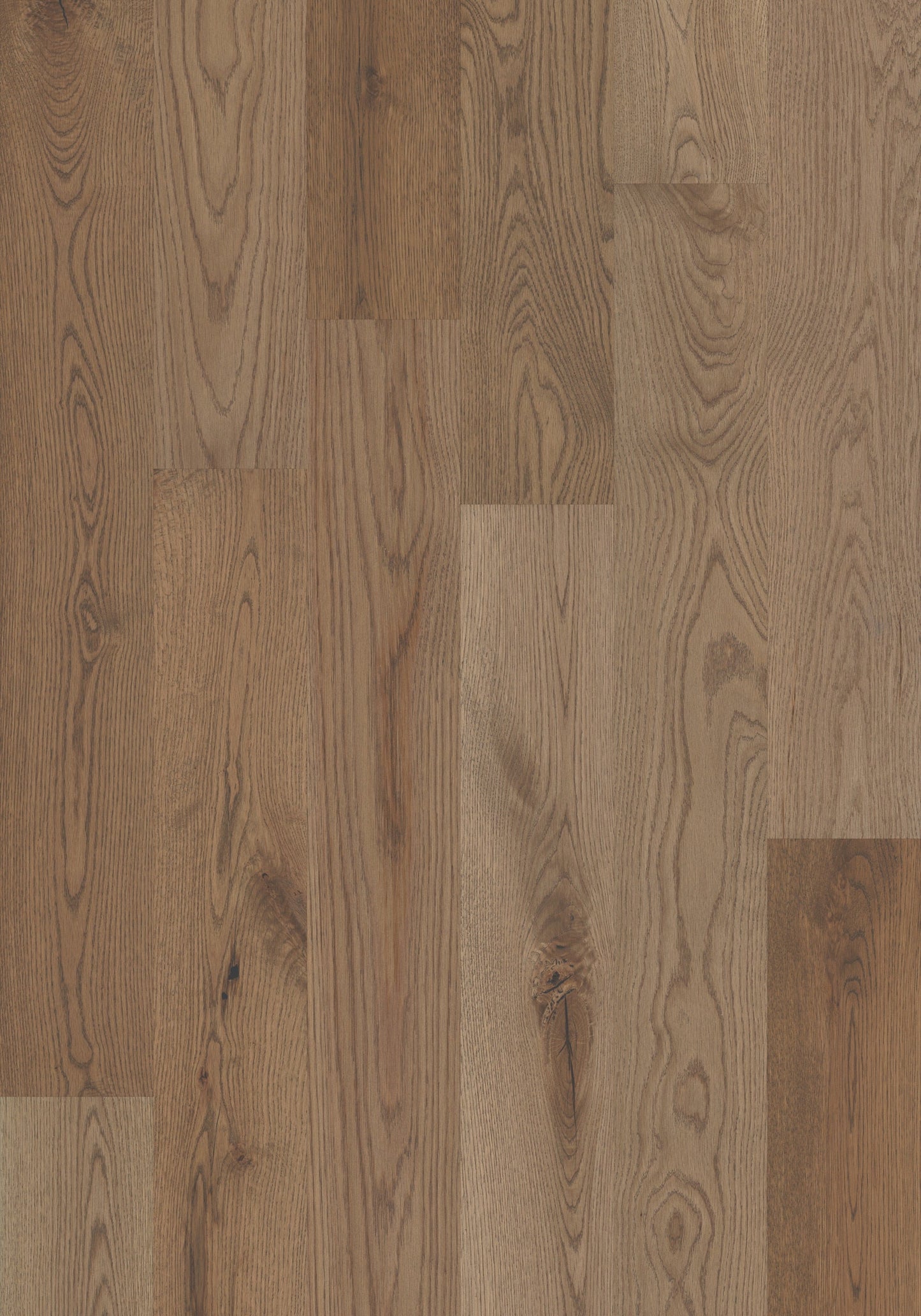 Shaw White oak Dakota hardwood flooring — color and finish detail