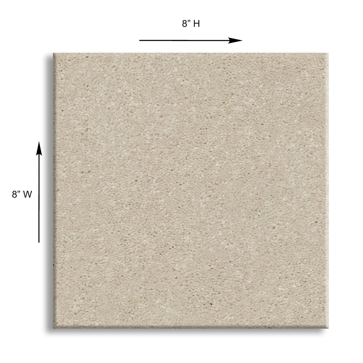 STAINMASTER Essentials Blue Diamonds II 12-ft Bleached Textured Carpet Sample (Interior)