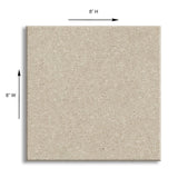 STAINMASTER Essentials Blue Diamonds II 12-ft Bleached Textured Carpet Sample (Interior)