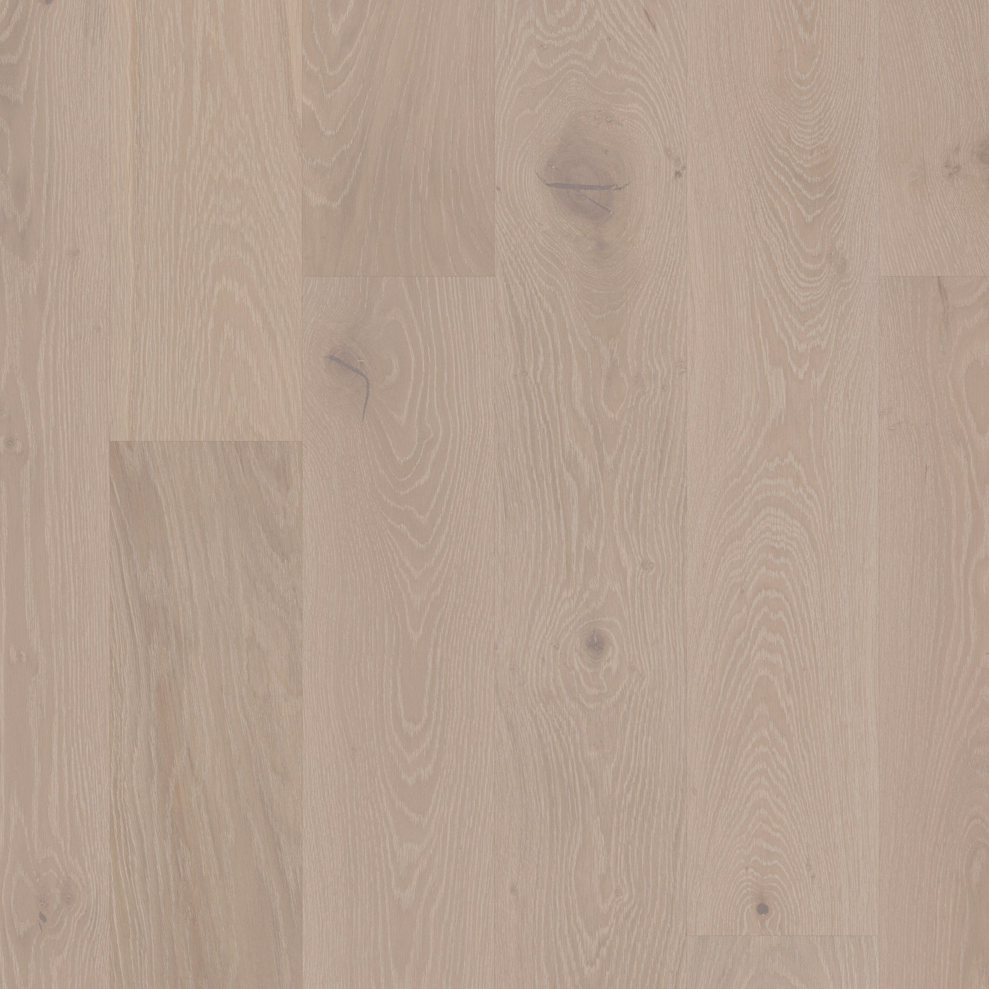 Shaw White oak Wynwood hardwood flooring — primary plank view