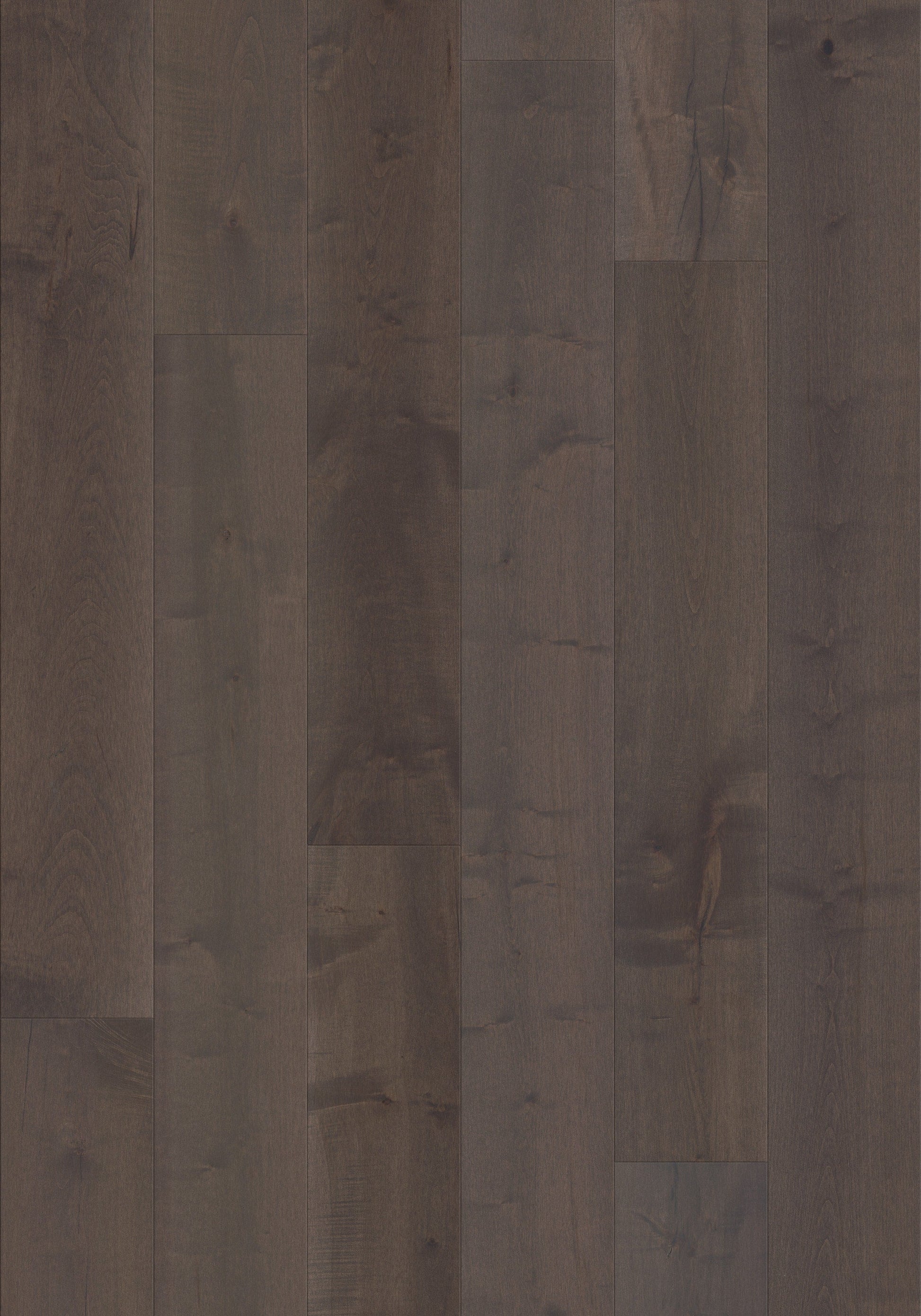 Shaw Maple Reiger hardwood flooring — lifestyle view