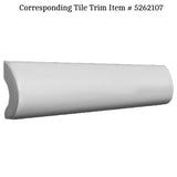 Apollo Tile (Sample) Duchess White 2-1/2-in x 8-in Glossy Ceramic Floor and Wall Tile