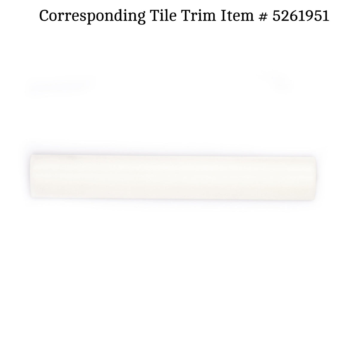 Apollo Tile (Sample) Duchess White 4-in x 4-in Glossy Ceramic Wall Tile